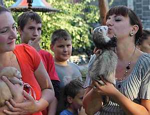 В Севастополе отметили День хорька