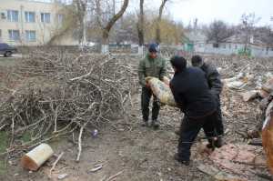 В Джанкое два дня пилили полувековой платан весом около 30 тонн