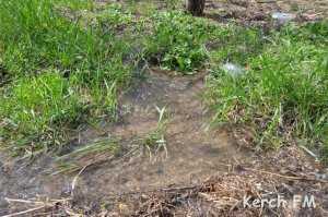 Реки питьевой воды затопили несколько улиц Керчи