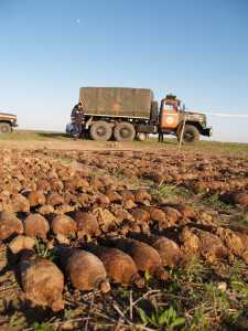 В Крыму нашли крупнейший за год склад боеприпасов времен ВОВ