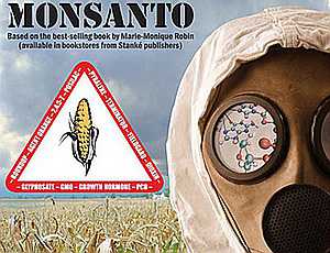 ГМО-гигант Monsanto намерен построить завод на Украине