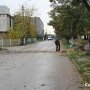 В Керчи ветер свалил на дорогу дерево