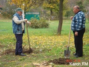 Жители Героевки высадили аллею памяти героям Эльтигена