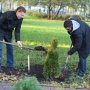 Площадь озеленения в Ялте наметили увеличить на 36 га