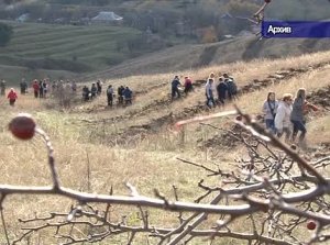 Акция « Остановись, посади свое дерево»