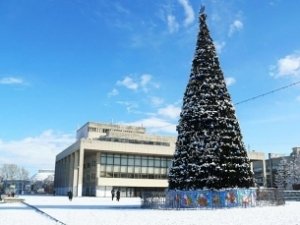 Огни главной елки зажгут в Крыму