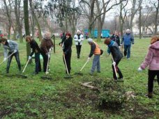 В Севастополе проведут общегородской двухмесячник чистоты