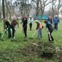 В Севастополе проведут общегородской двухмесячник чистоты