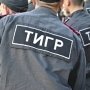 «Тигры» остаются в Феодосии