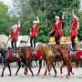 Кремлевская школа верховой езды покажет свое мастерство в Керчи