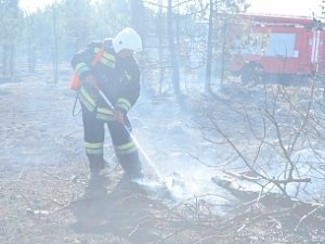 Трава полыхала в безводном районе Севастополя