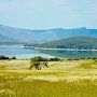 В Чернореченском водохранилище Севастополя осталось 8,1 млн кубометров воды, — Сагайдак