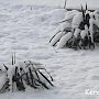 В Керчи на праздники замерзли двое бездомных