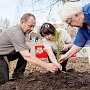 В честь 70-летия Великой Победы архангелогородцы высадили кедровую рощу