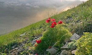 Во вторник в Крыму до 22 градусов тепла, местами дожди