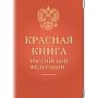 Керчане хранили в лодочном гараже рыбу, занесенную в Красную книгу