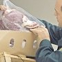 Россельхознадзор не пропустили в Крым мясную продукцию с Украины