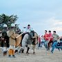 Севастопольские спасатели обеспечили безопасность Крымского военно-исторического фестиваля