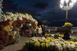 Приближение Дня Народного единства цветоводы Севастополя отметили Парадом хризантем