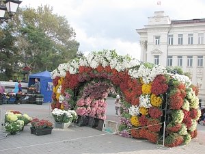 Приближение Дня Народного единства цветоводы Севастополя отметили Парадом хризантем