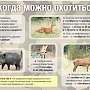 На кого и когда можно охотиться в Крыму