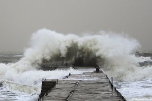 В Крыму из-за ветра возможны обрывы ЛЭП и остановка керченской переправы