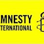 Amnesty International: на Украине за пророссийские взгляды можно попасть за решетку