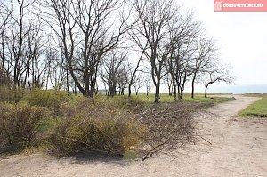 В Керчи продолжают благоустраивать Приморский парк