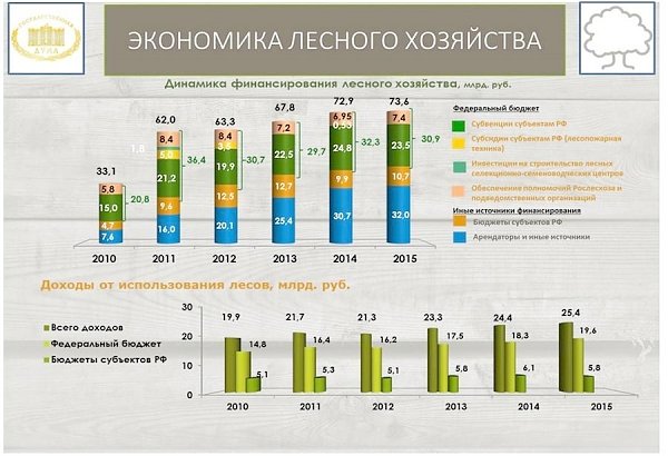 В.И. Кашин: «Комплексное освоение лесов: проблемы, задачи, пути решения»