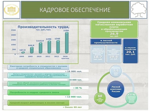 В.И. Кашин: «Комплексное освоение лесов: проблемы, задачи, пути решения»