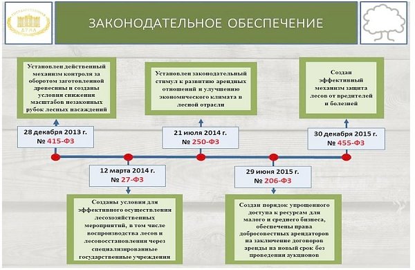 В.И. Кашин: «Комплексное освоение лесов: проблемы, задачи, пути решения»