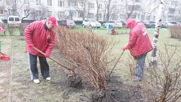 Валерий Рашкин провёл субботник в столичном районе Марьино