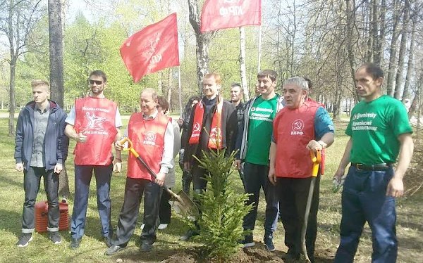 Московские коммунисты посадили ели в Парке Победы на Поклонной горе