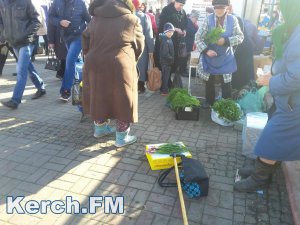 Полиция поймала керчанина, который воровал телефоны у горожан