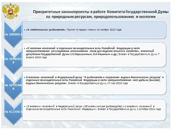 В.И. Кашин: «Законодательное обеспечение реализации поручений Президента Российской Федерации, направленных на развитие отечественного рыбохозяйственного комплекса»