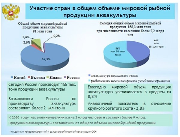 В.И. Кашин: «Законодательное обеспечение реализации поручений Президента Российской Федерации, направленных на развитие отечественного рыбохозяйственного комплекса»