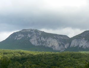 Коварные крымские горы: жительница Москвы отправилась на прогулку и оказалась в реанимации