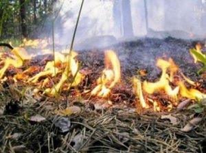 В Крыму пожарная опасность сохранится до пятницы