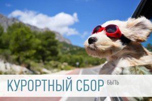 В Крыму считают, что курортный сбор для туристов должен быть в пределах 80 руб