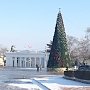 Общегородскую елку откроют 20 декабря