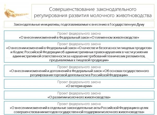 В.И.Кашин: «Приоритетные направления законодательного обеспечения развития молочного животноводства до 2020 года»