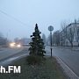 В Керчи продолжают воровать игрушки с новогодних ёлок