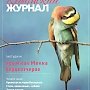 Как дельфины лечат топ-менеджеров и кто такие бёрдвотчеры — скоро в «КЖ»