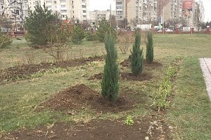 Весенняя акция по высадке зеленых насаждений прошла в Евпатории