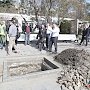 Пальмы из Италии в Ялте высадили в День космонавтики