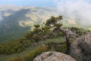 Заповедники Крыма плюнули на все и стали платными