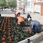 В городе Саки появилась цветочная клумба в виде георгиевской ленточки