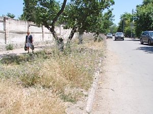 Траву косят не в то время суток и не в то время года