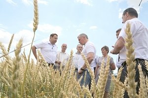 Владимир Константинов: Сельское хозяйство Красноперекопского района демонстрирует устойчивый рост