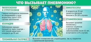 Пневмония – не летняя болезнь? 7 мифов о воспалении лёгких